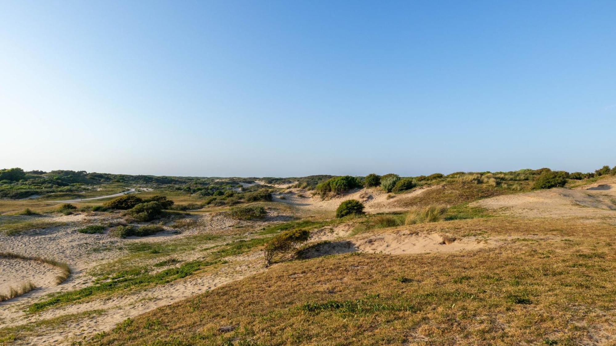 Beach Lodge 24 - Noordwijk Aan Zee - Met Eigen Tuin Dış mekan fotoğraf